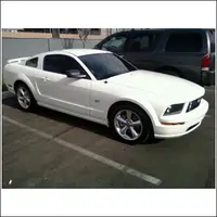 mystang.webp