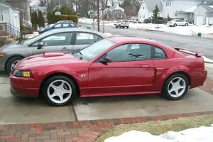 mustang1.webp