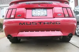 mustang2.webp