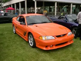 saleen.webp