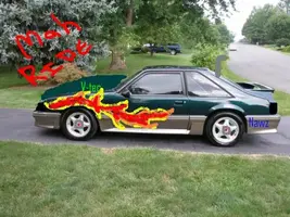 Mustang002.webp