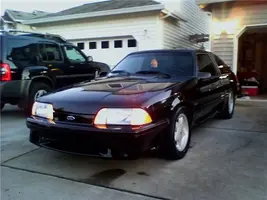 mustang1.webp