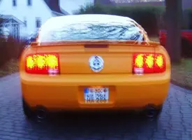 DSC00486[1].webp
