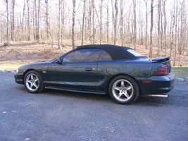 stang1.webp