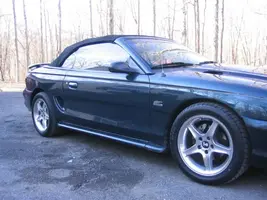 stang4.webp