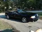 mustang1.webp