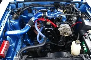 mg5901.webp
