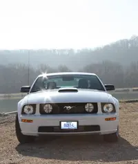 mustang3.webp