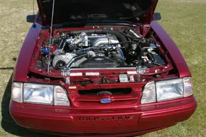 IMG_7016 (Small) (2).webp