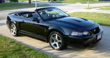 cobra.webp