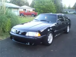 stang1.webp