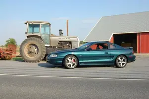 stang1.webp