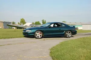 stang2.webp