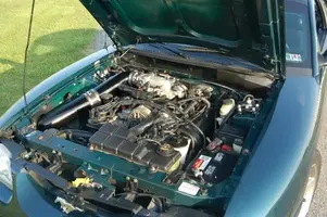 stang3.webp