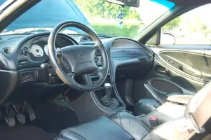 stang4.webp