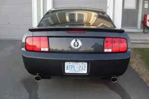 Stang_duel.webp