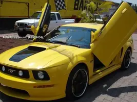 991843_1G.webp