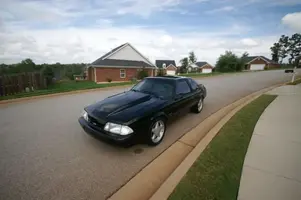 stang100.webp