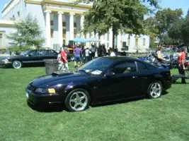 My Mustang.webp