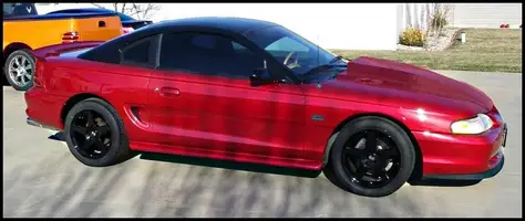 stang1.webp