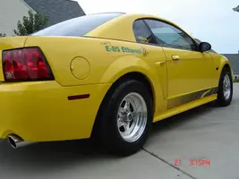 ss43.webp