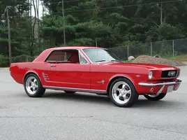 Stang.webp