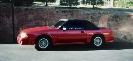 Stang4.webp