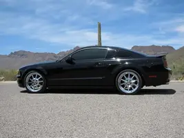 Picture or Video 002.webp