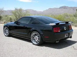 Picture or Video 003.webp