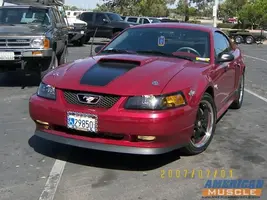 hood stripe.webp