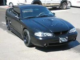mycobra.webp