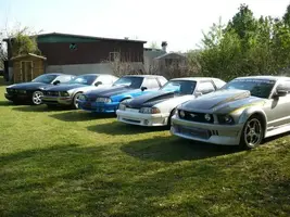 mustangs.webp mustangs.webp