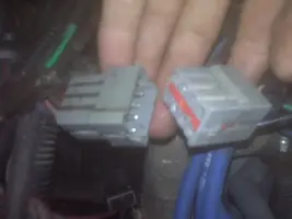 connection.webp
