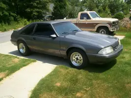 mustang 005.webp