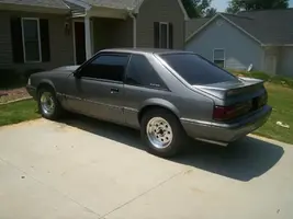 mustang 007.webp