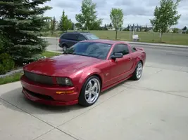 Shelby front.webp