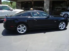 new stang 1.webp