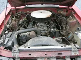 capri resto start 002.webp