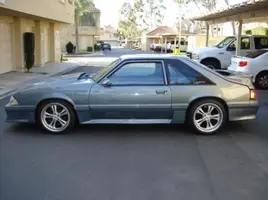 mustang1.webp