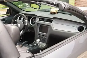 DSCF6965.webp
