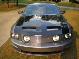 Picture2.webp