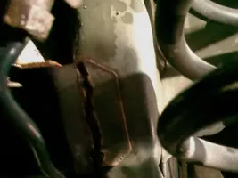 IMAG0114.webp