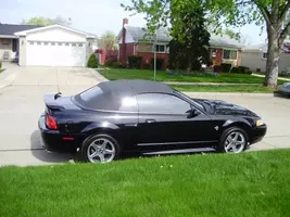 Mustang2.webp