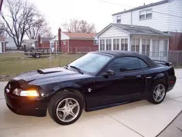 Mustang3.webp