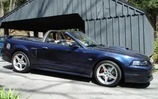 Mustang 1680x1050 pixels.webp