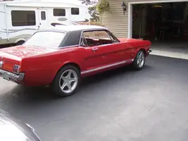 Mustang.webp