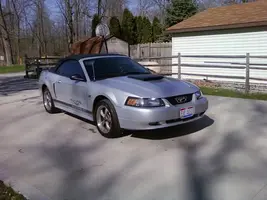 Mustang Pic!!!.webp