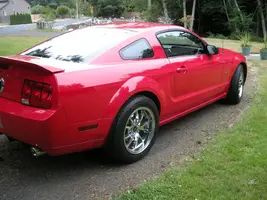 Mustang 002.webp