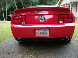 Mustang 003.webp