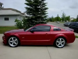 Shelby sideA.webp